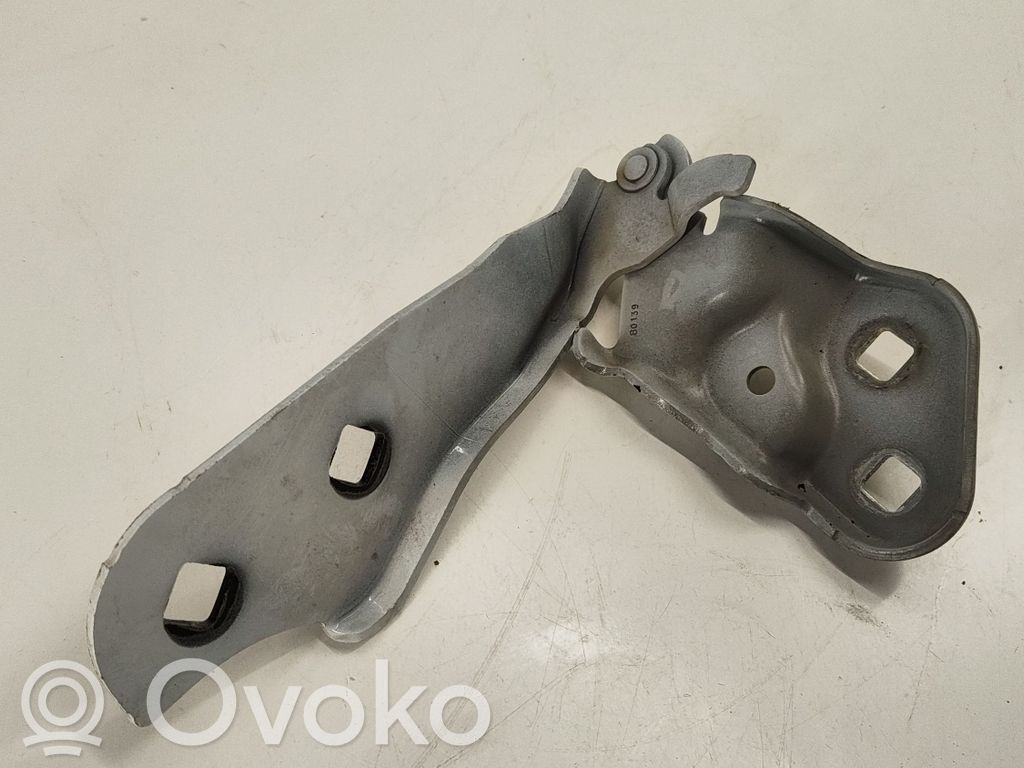 Tesla Model 3 Dzinēja pārsega eņģe (-es) 