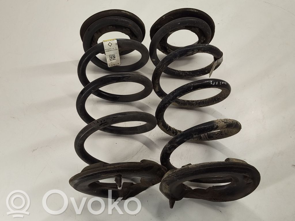Tesla Model 3 Rear coil spring 