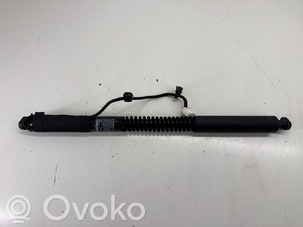 Tesla Model X Takaoven pidätin 