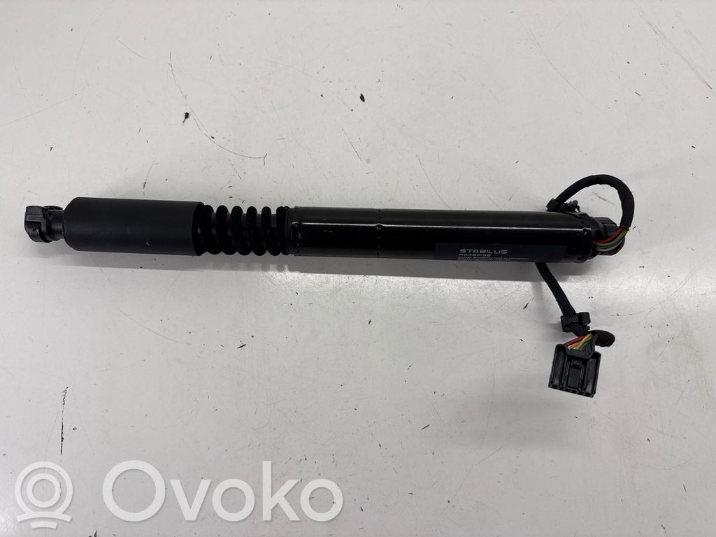 Tesla Model X Galinių durų pritraukėjas 