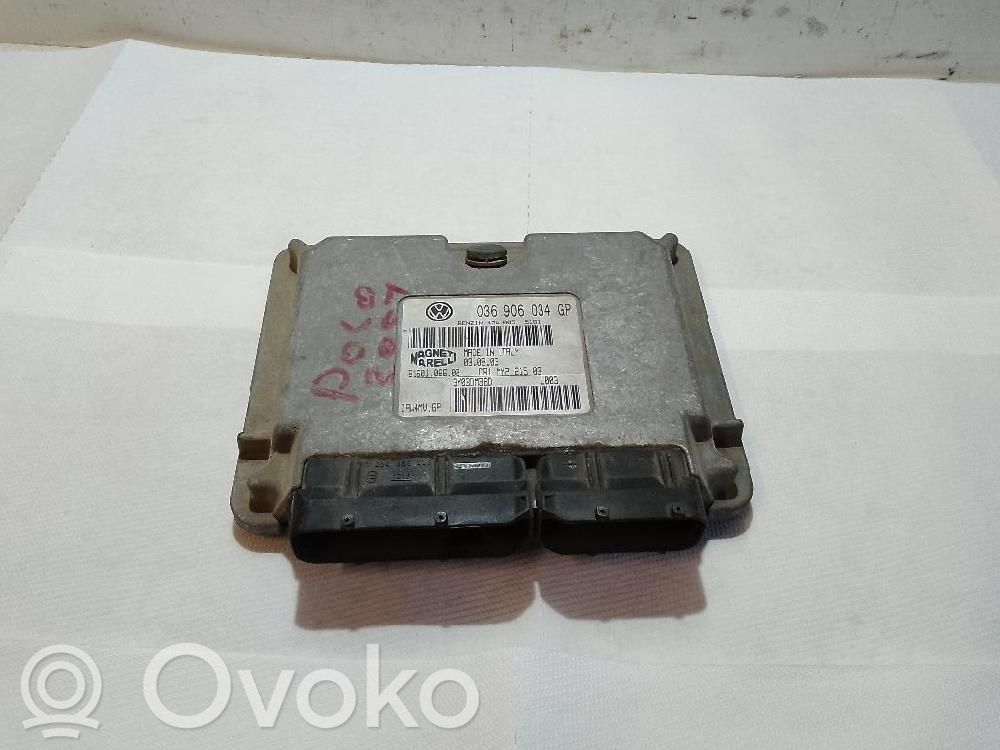 Engine control unit/module   036906034GP,IAW4MVGP