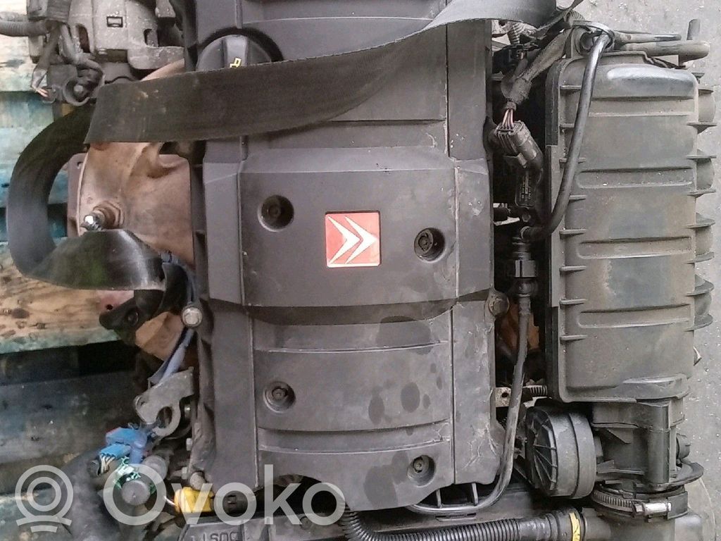 Motor