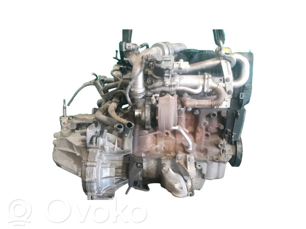 Motor