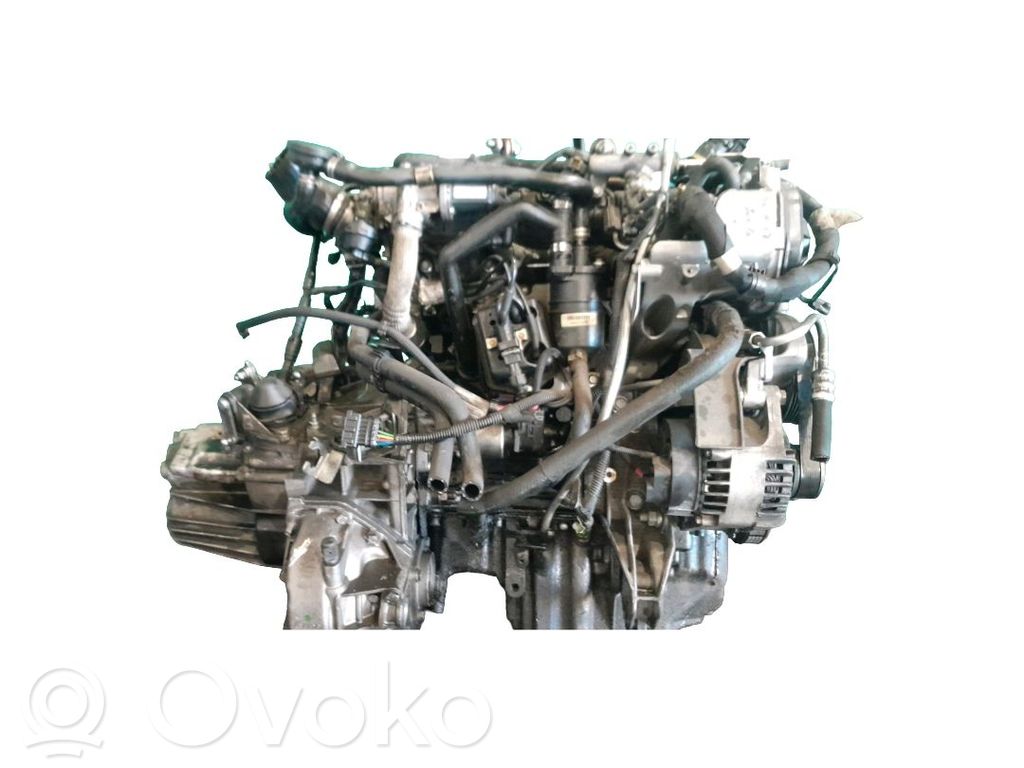 Engine   55204690