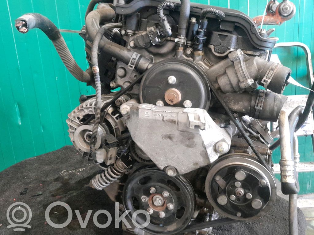 Variklis   55558053