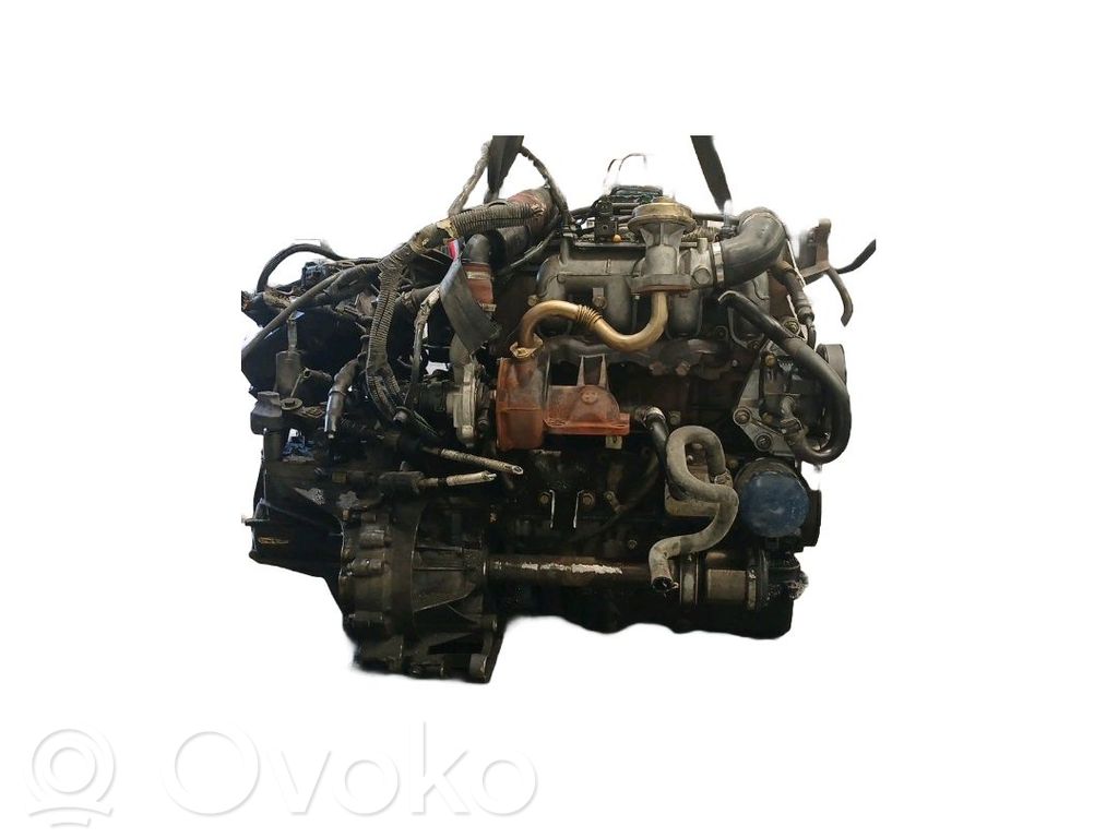 Motor