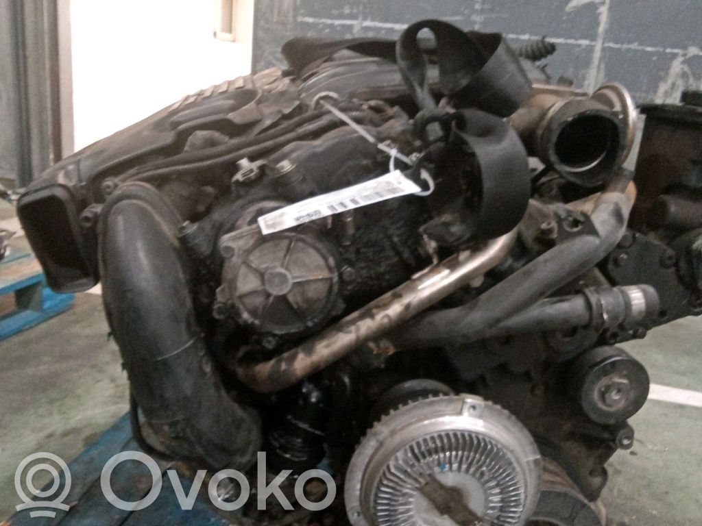 Motor   11000018017