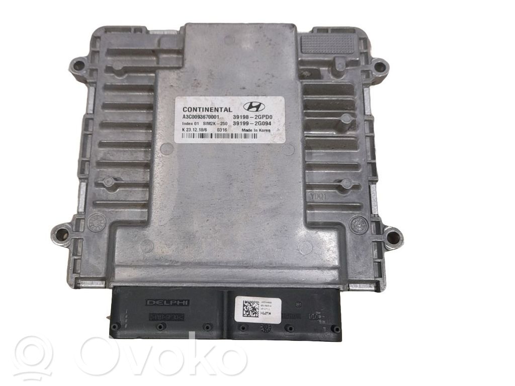 Engine control unit/module   391982GPD0