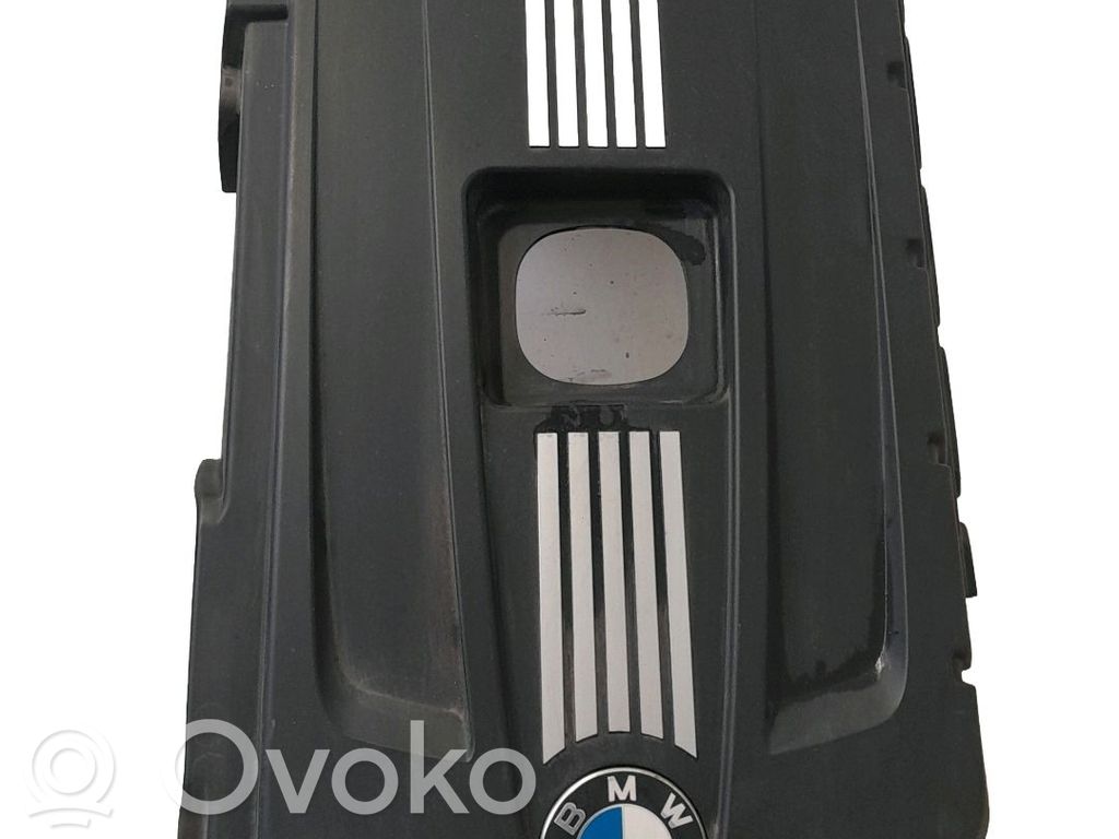 Muu korin osa   11617535847