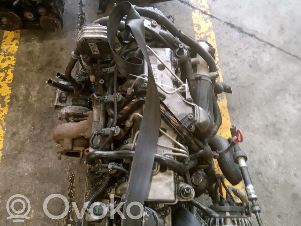 Motor