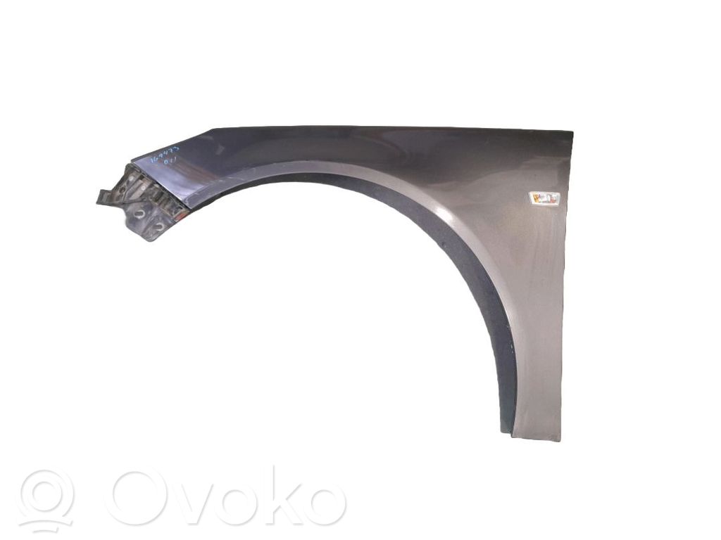 Guardabarro   13277520