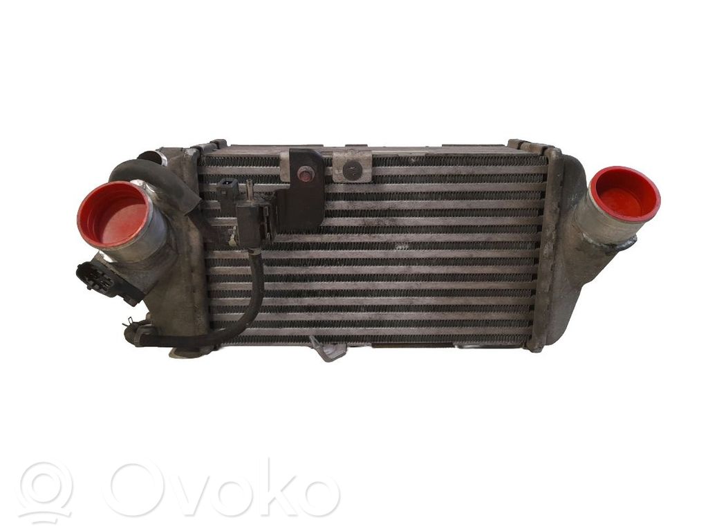 Radiador intercooler   2827104610