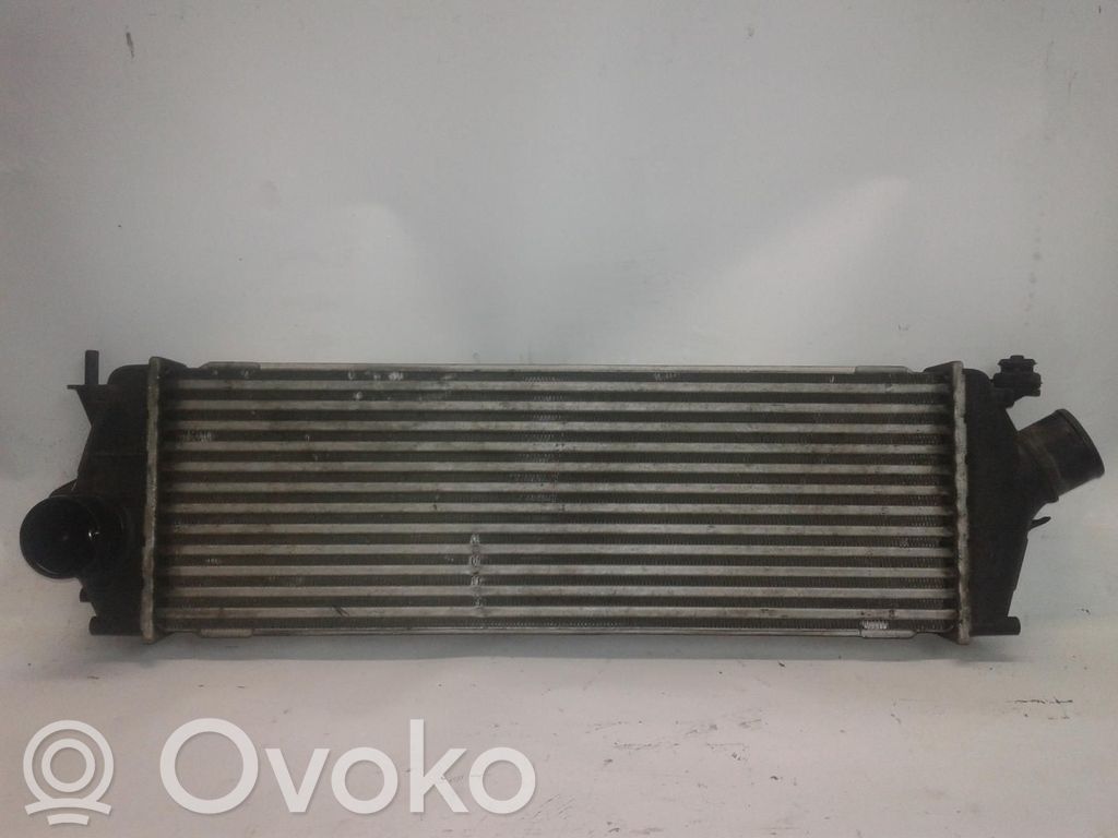 Radiatore intercooler   1449600Q0A