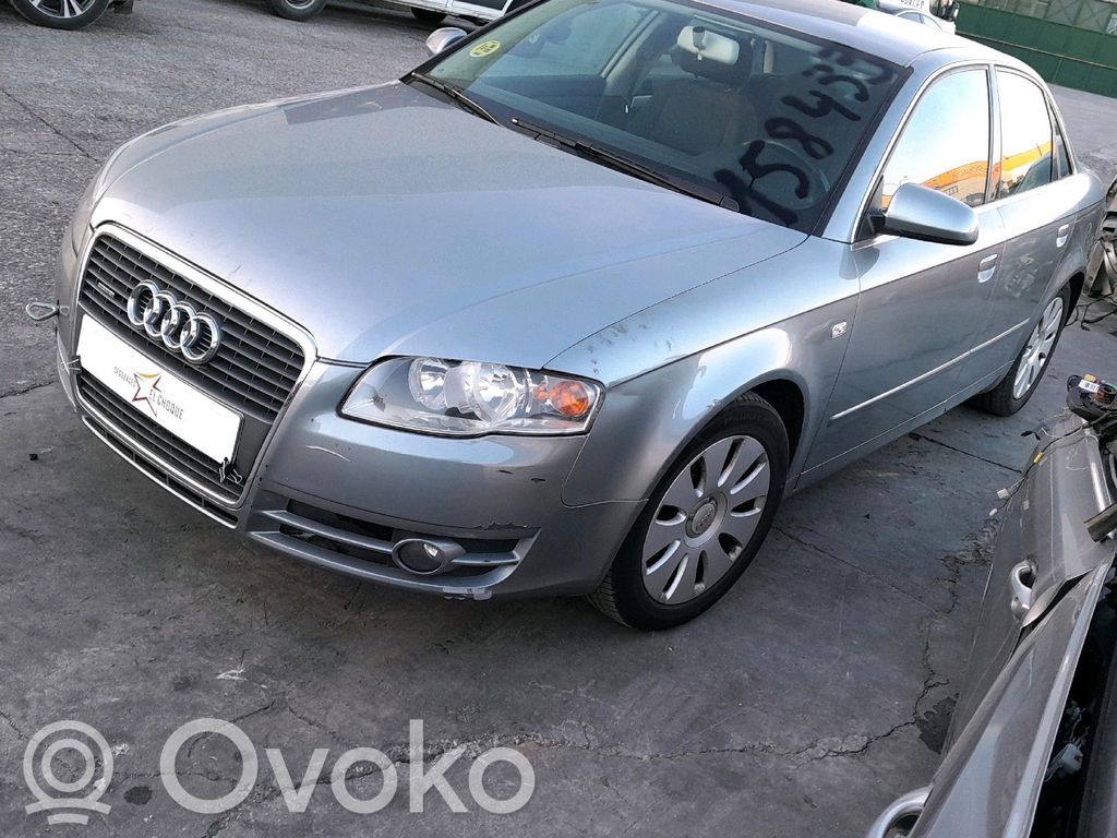 Audi A4 S4 B7 8E 8H Macara ușă față cu motor 