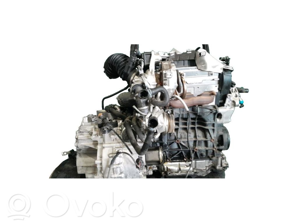 Skoda Octavia Mk4 Motore