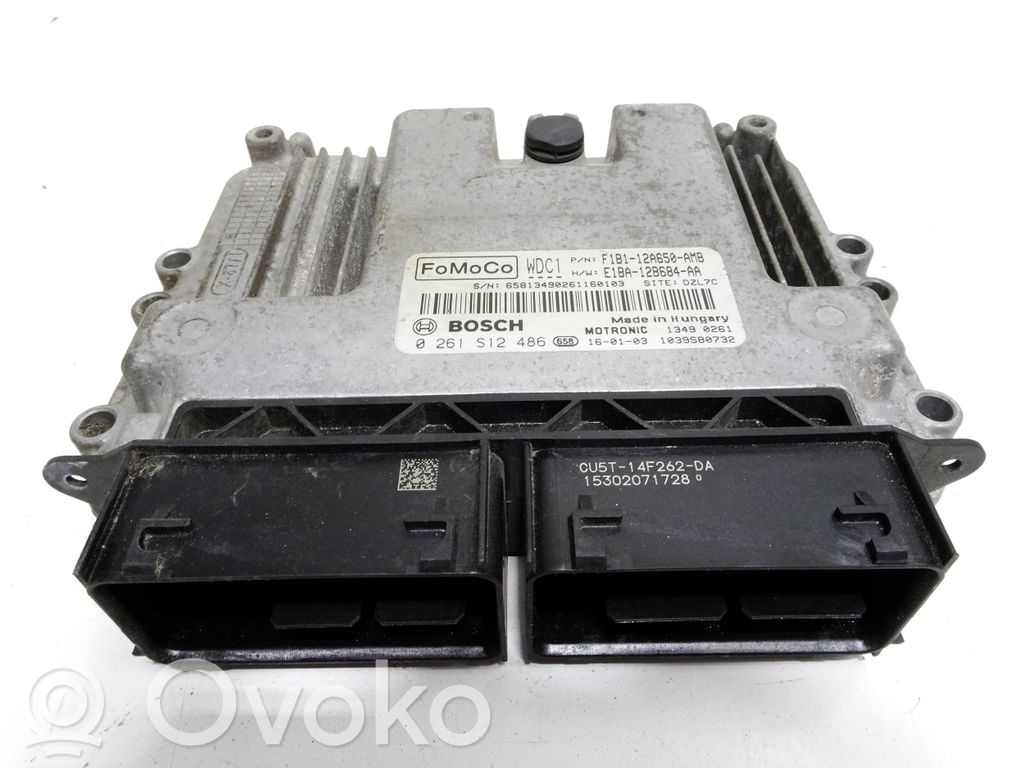 Engine control unit/module   F1B112A650AMJB,0261S12486,BERTO