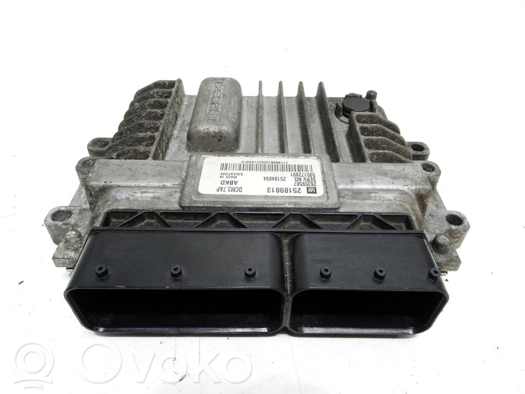 Engine control unit/module   25189813,25184894,BERTO,28359587