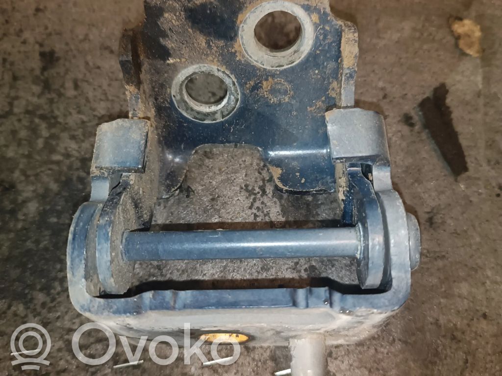 Rear door lower hinge