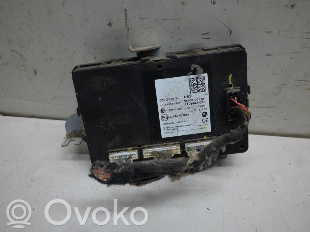 Inne komputery / moduły / sterowniki   95400G5510