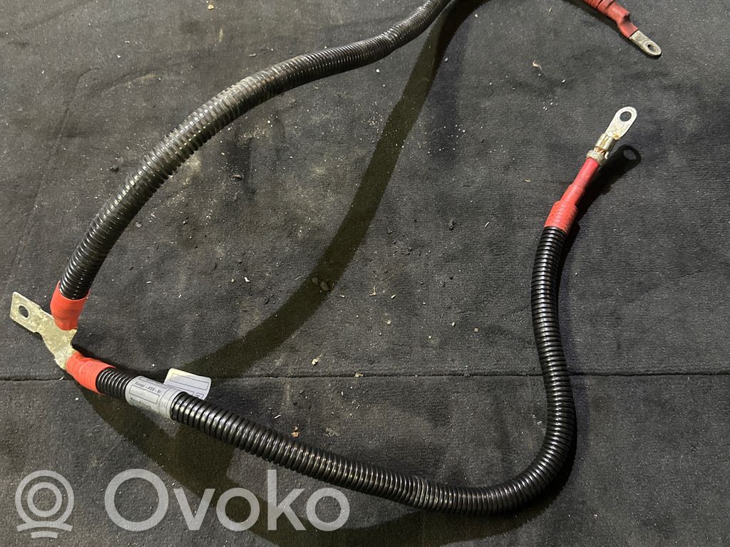 Positive cable (battery)   7543298,6144836,7543297