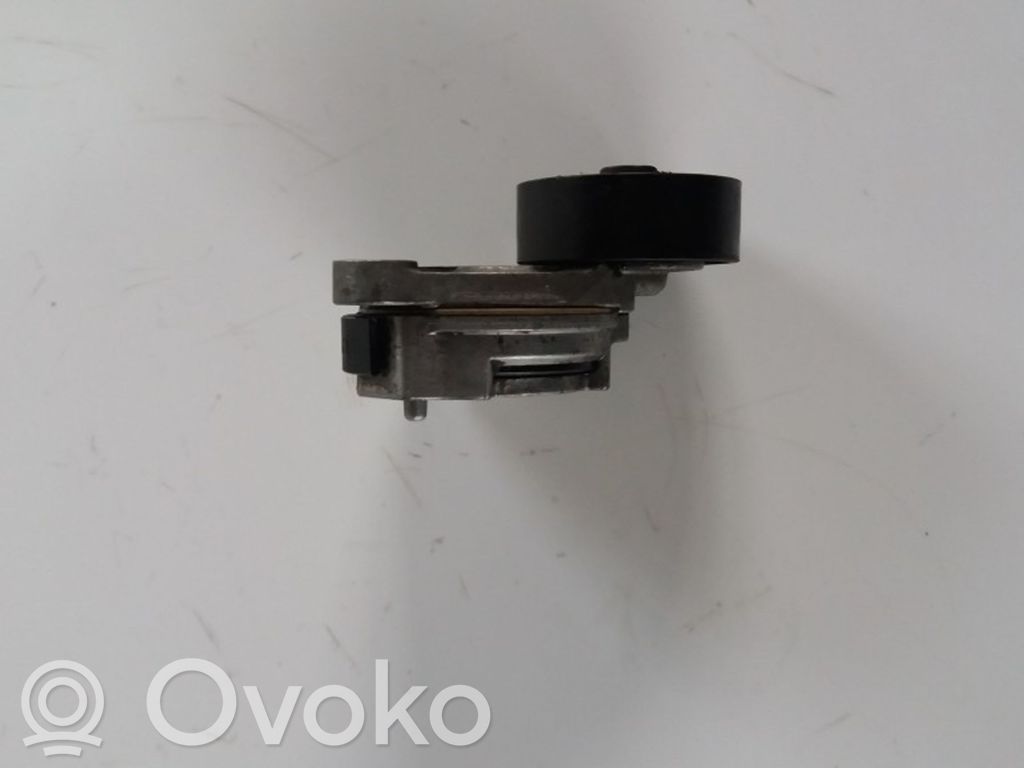 Diržo įtempėjas   31330379,2441219