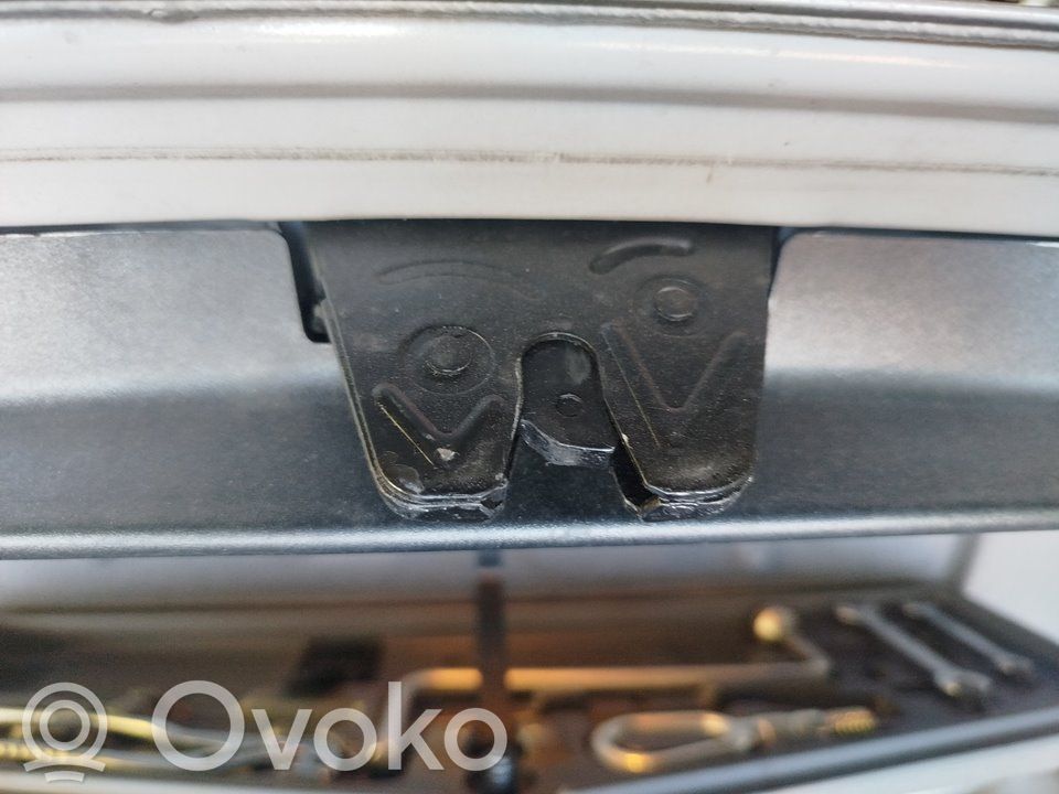 Spyna galinio dangčio   406204271,286S2