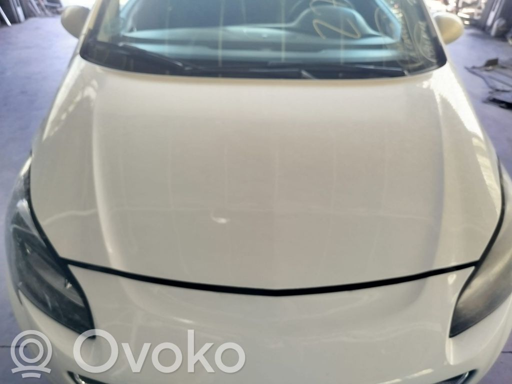 Engine bonnet/hood   554379,B13DTCOPTLKV