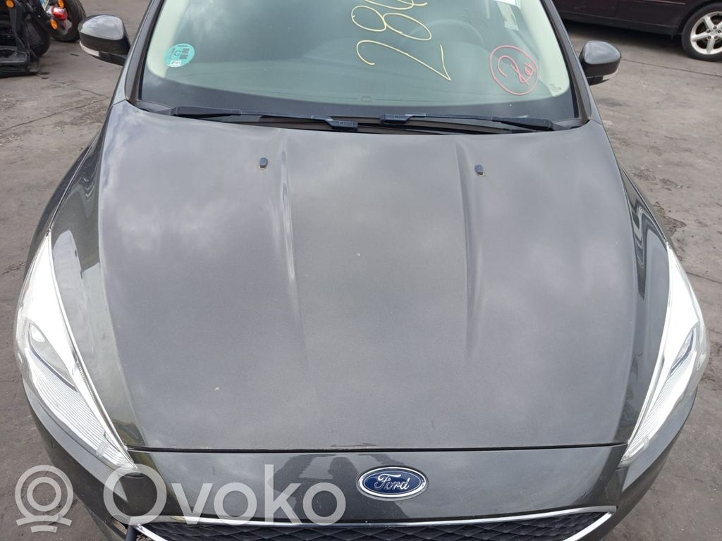 Dzinēja pārsegs (vāks)   585152,DYBM1DD