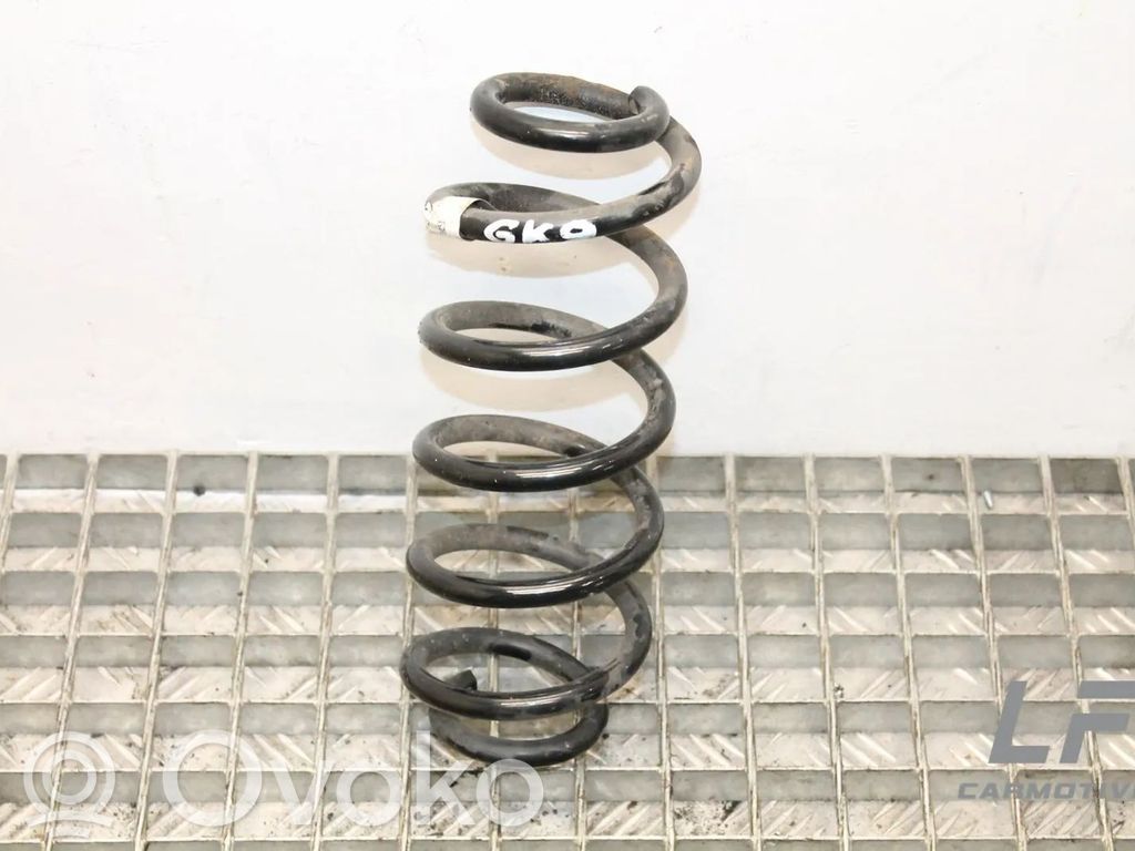 Rear coil spring