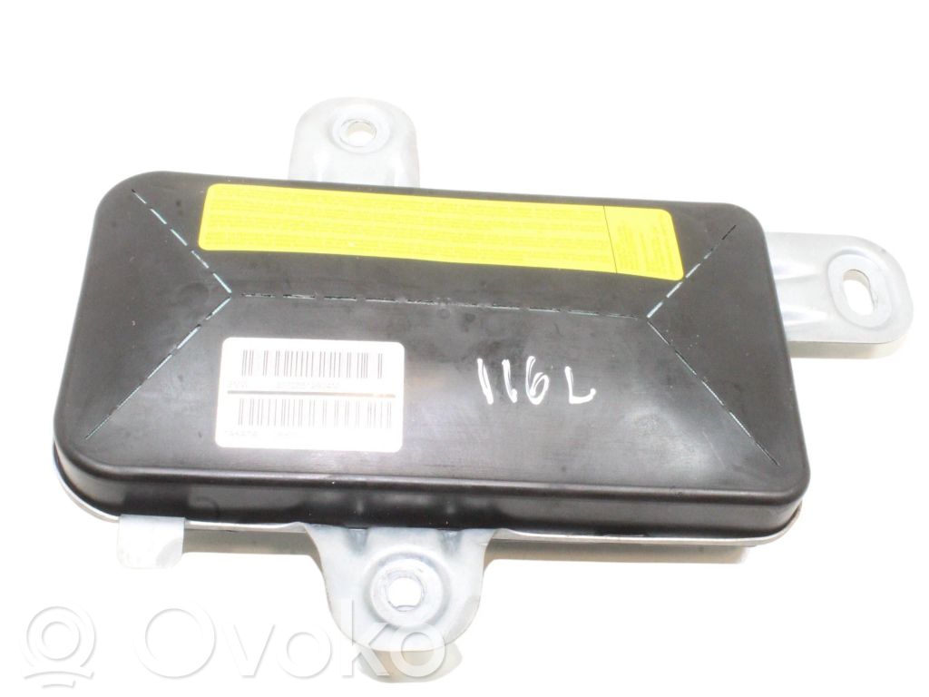 Airbag de la puerta delantera   7055129