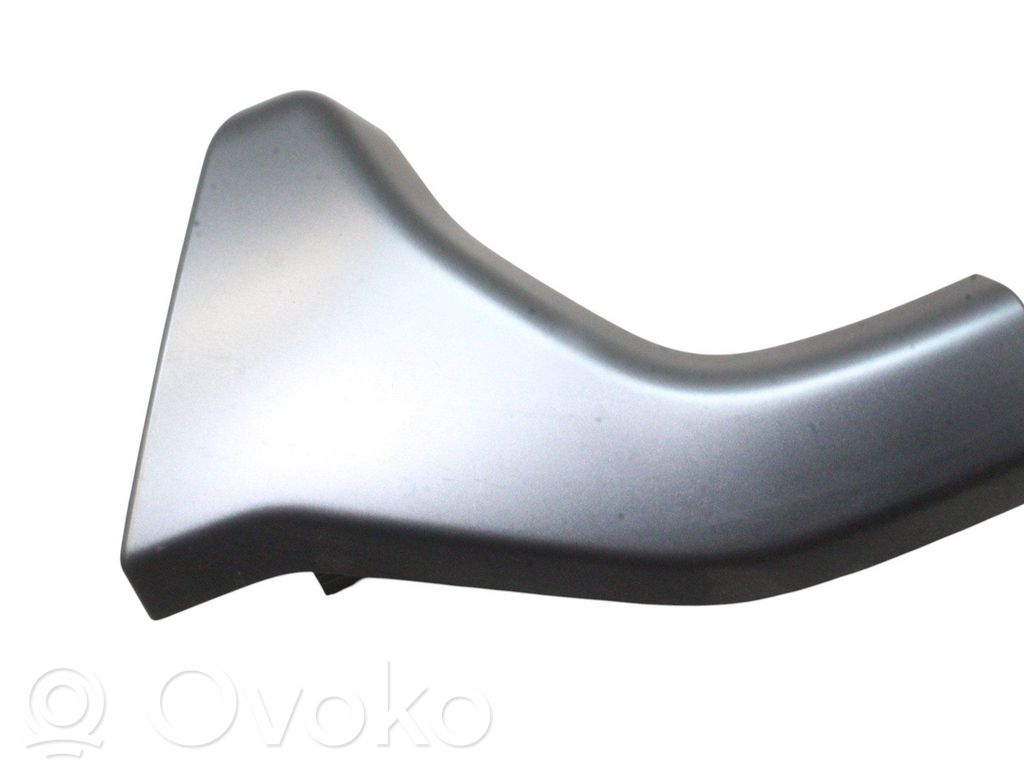 Panel trim   10H854378