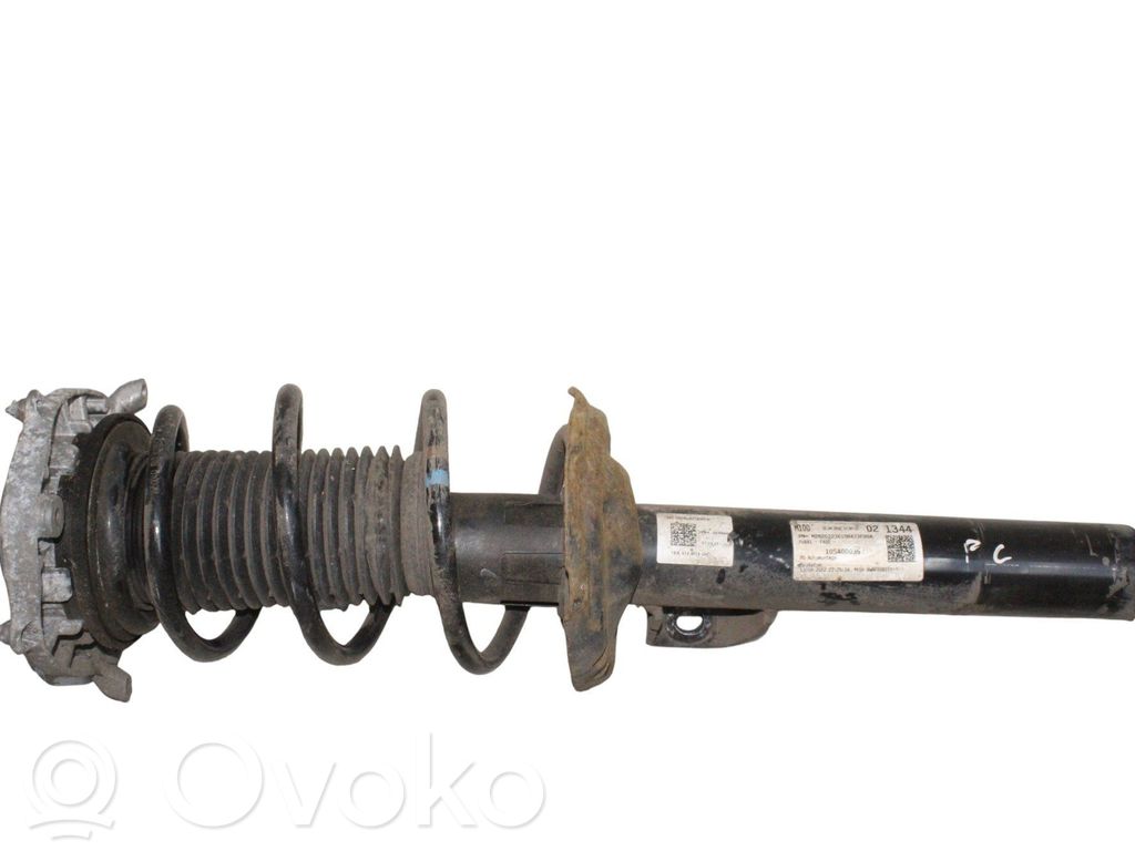 Stoßdämpfer vorne   1EA412013DH