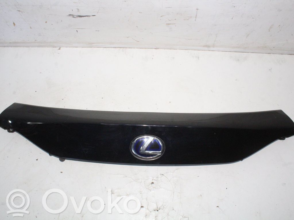 Tailgate trim   7680176010