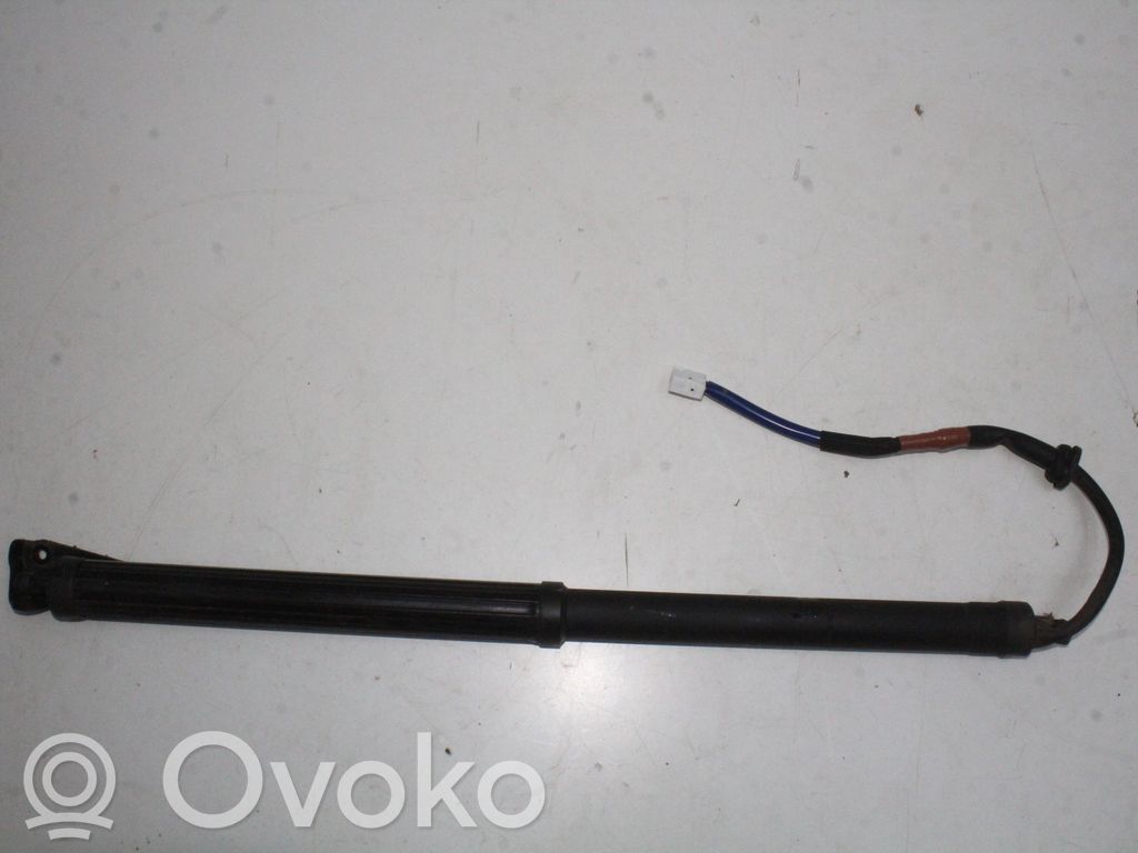 Tailgate/trunk strut/damper   6892076010