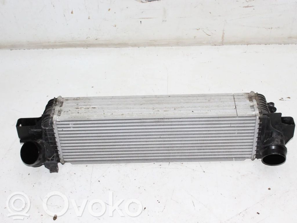 BMW 1 F40 Interkūlerio radiatorius 