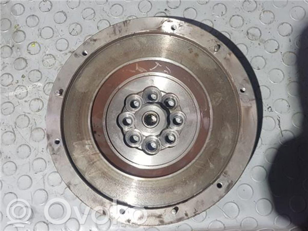 Flywheel   21207626561