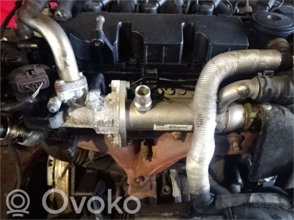 EGR aušintuvas   9645689780,875816W