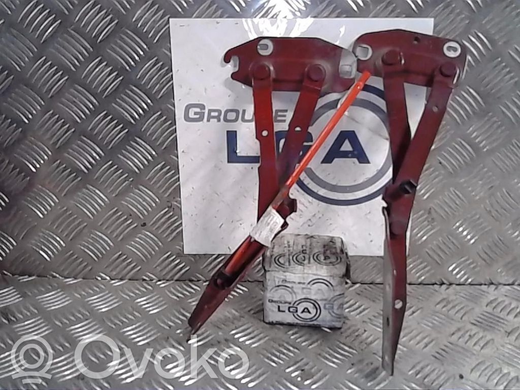 Peugeot Expert Engine bonnet/hood hinges 