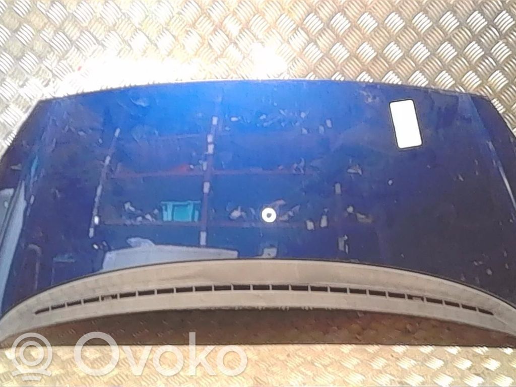Peugeot 1007 Capotă motor 