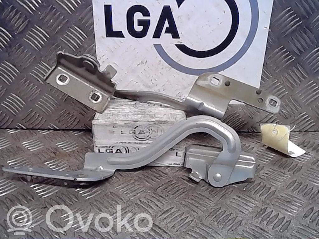 Renault Modus Dzinēja pārsega eņģe (-es) 