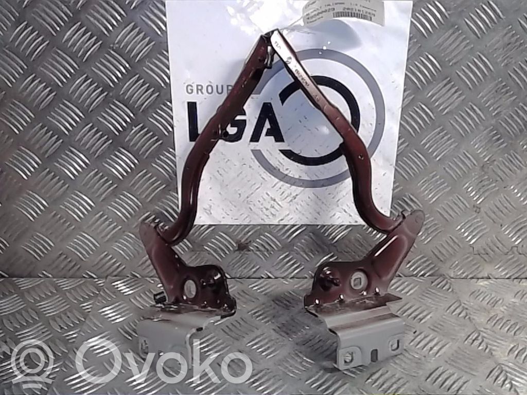 Renault Talisman Engine bonnet/hood hinges 