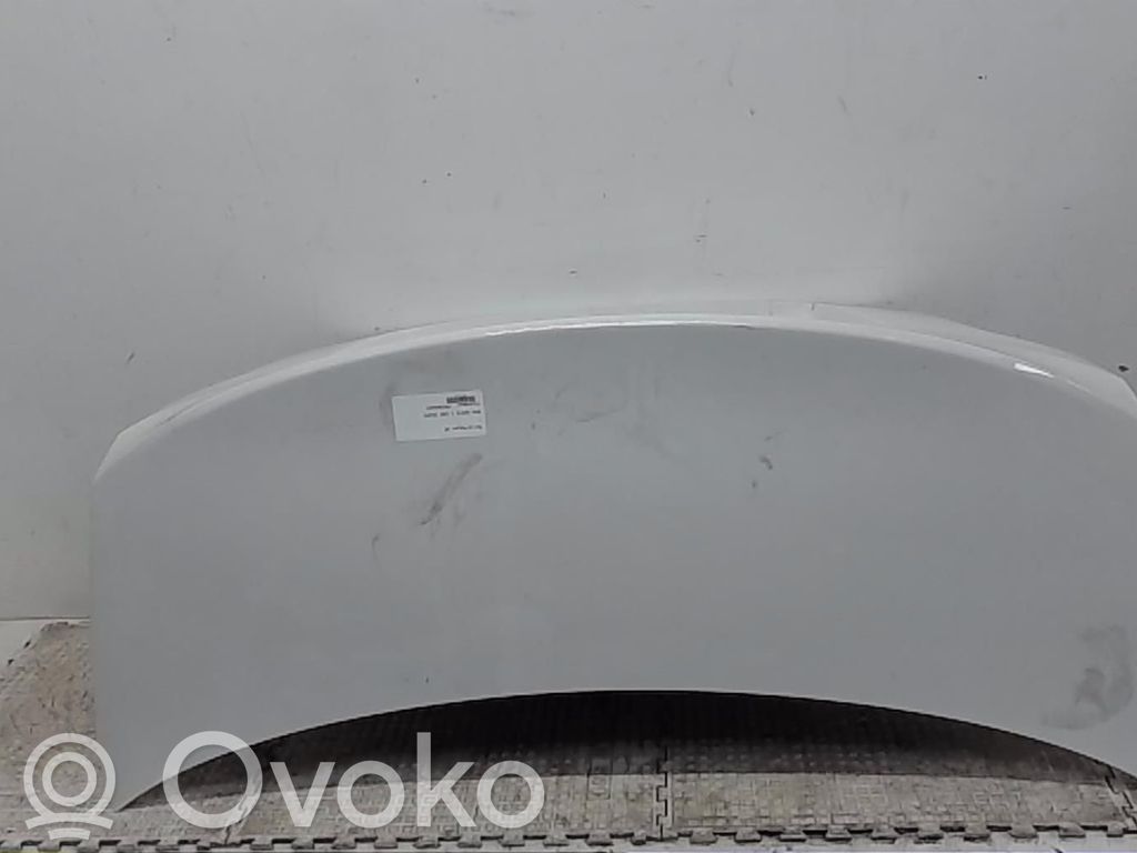 BMW 1 E82 E88 Galinis dangtis (bagažinės) 