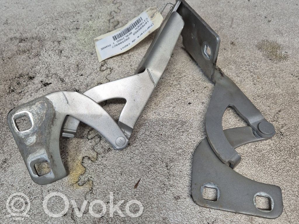Citroen Berlingo Konepellin saranat 