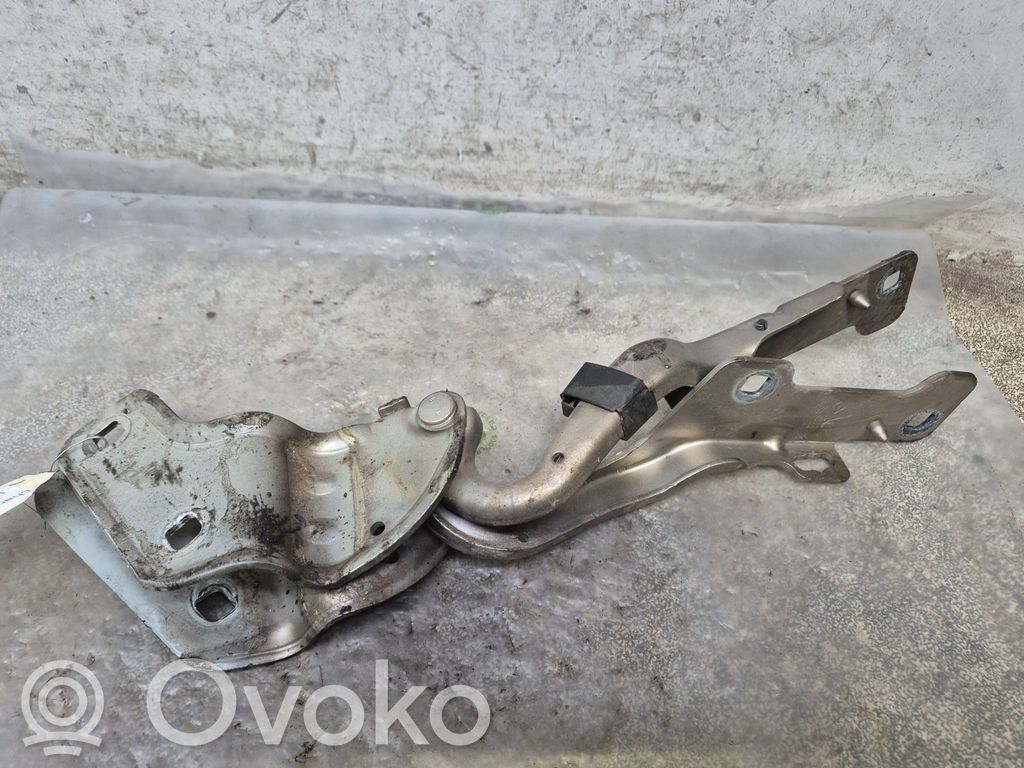 Renault Clio III Balamale capotă 