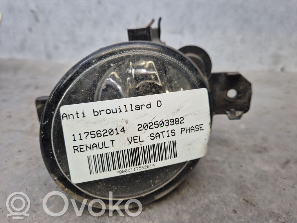 Renault Vel Satis Fendinebbia anteriore