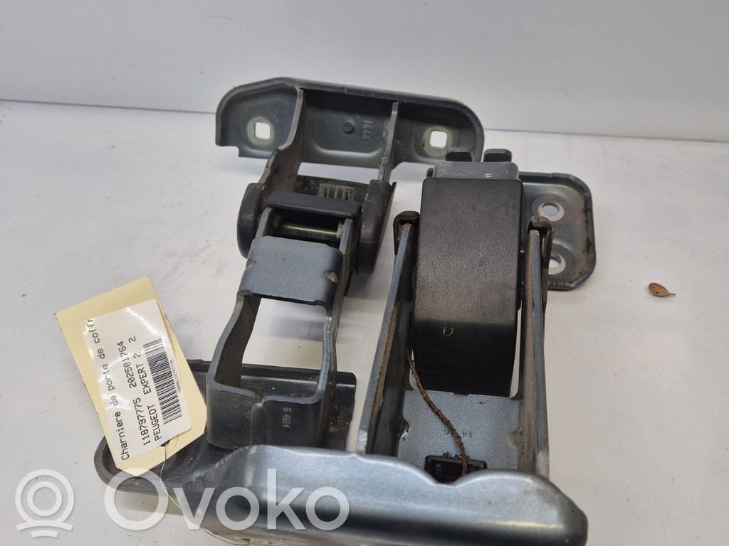 Peugeot Expert Tailgate/trunk/boot hinge 