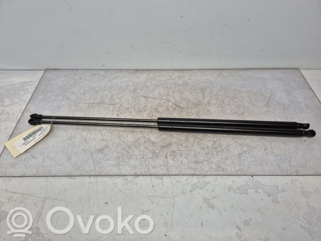 Nissan Juke I F15 Ammortizzatore portellone posteriore/bagagliaio 