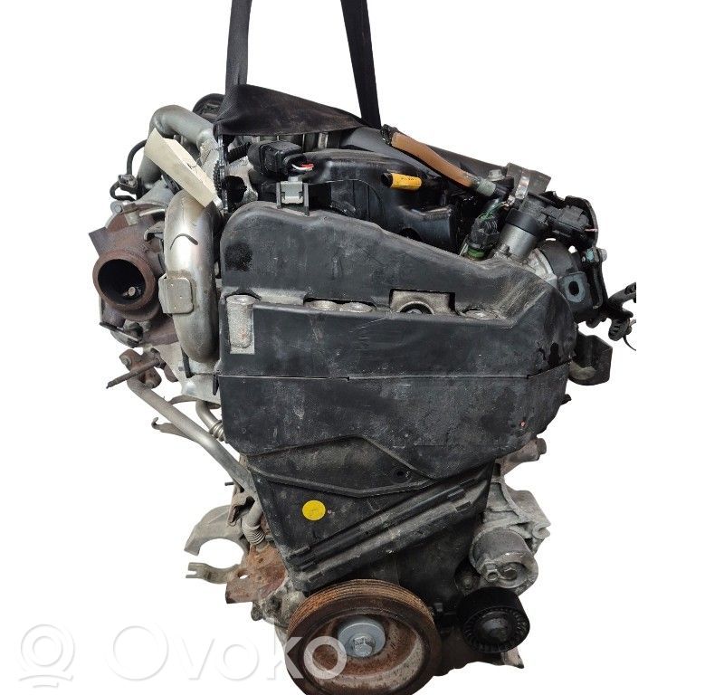 Variklis   8201535502