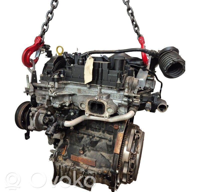 Ford Fiesta Variklis 