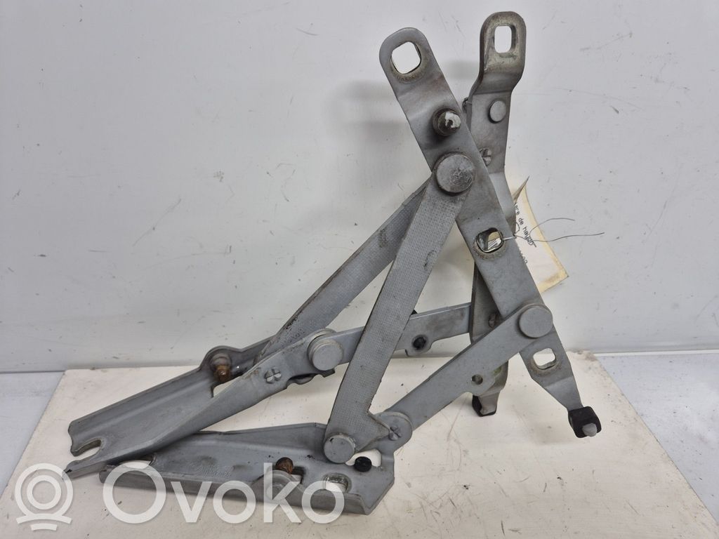 Tailgate/trunk/boot hinge   41628413371